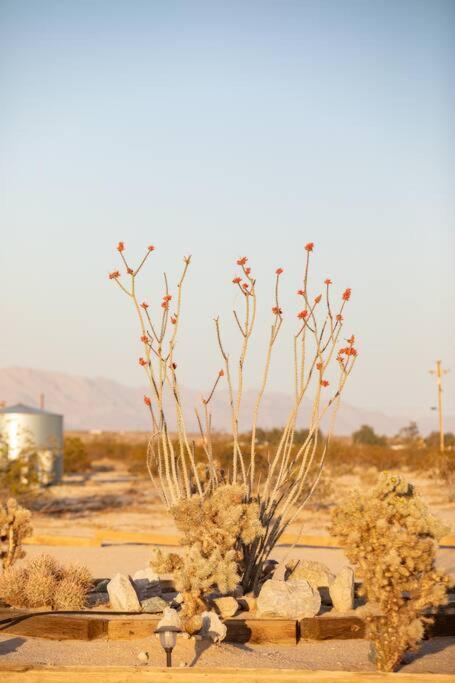 Sun Runner - Serene Desert Home W/Pool & Hot Tub Twentynine Palms Luaran gambar